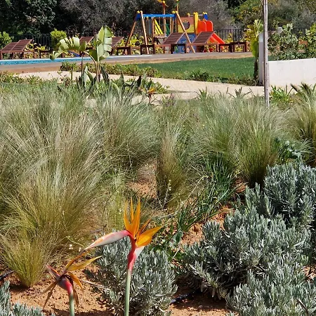 Appartamento Delnatte By Alzira Albufeira